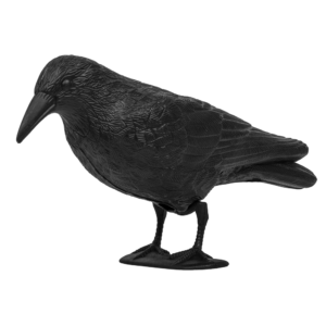 Madárriasztó – leszúrható holló figura, 41 cm – Bradas CTRL-BR101