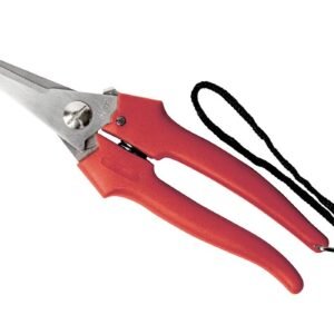 Ausonia Classic szüretelő olló 19 cm (31327)