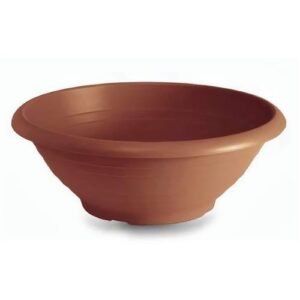 Campana alacsony virágtál 30 cm, terrakotta