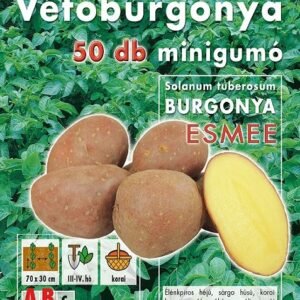 Esmee vetőburgonya 50 szem