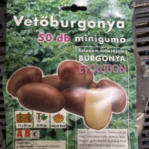 Evolution vetőburgonya 50 szem
