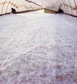 Fátyolfólia 1,6 x 100 m