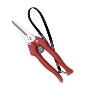 Szüretelő olló inox 19cm Ausonia