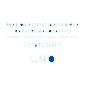 EnartisML UNO