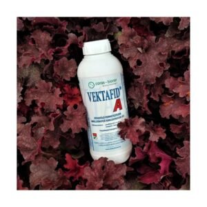 Vektafid R