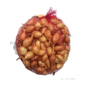 Vöröshagyma dughagyma, hálós, 0,3 kg