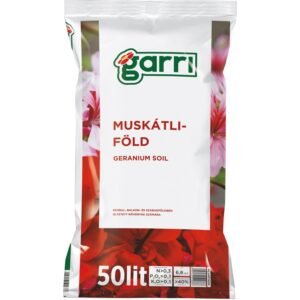Garri muskátli virágföld