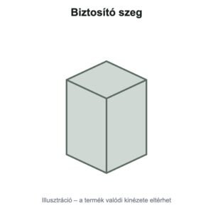 Biztosító szeg