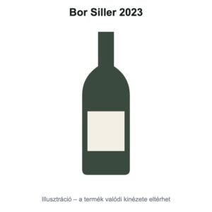 Bor Siller 2023