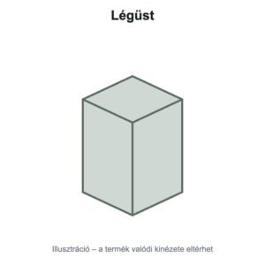 Légüst
