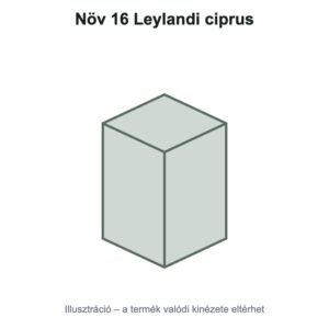 Növ 16 Leylandi ciprus