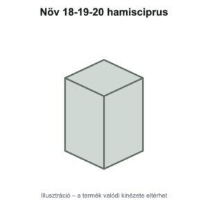 Növ 18-19-20 hamisciprus