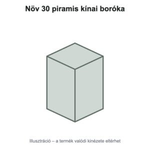 Növ 30 piramis kínai boróka