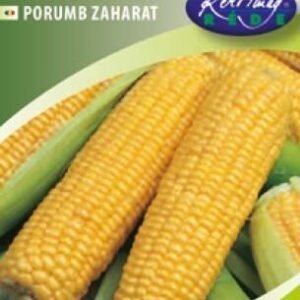 Noa F1 csemegekukorica vetőmag 50 szem