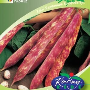 Rédei bab H kategória