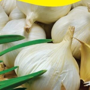 Rédei őszi fokhagyma 250 g