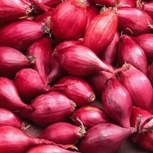 Rédei Red Carmen lilahagyma dughagyma 300 g