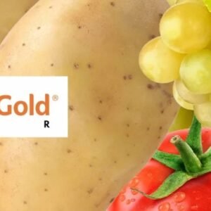 Ridomil Gold 50gr