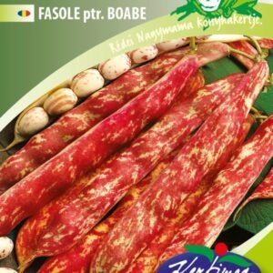 Rocco szárazbab vetőmag 50 g