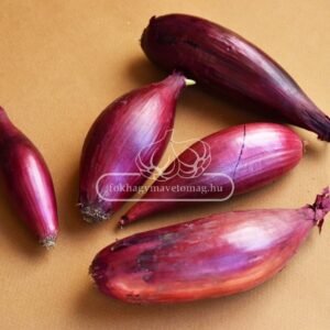 Sonkahagyma dughagyma