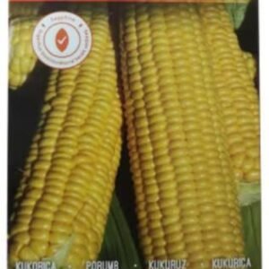 Uborka vetőmag, Ritmo F1, 10 szem (ZKI)